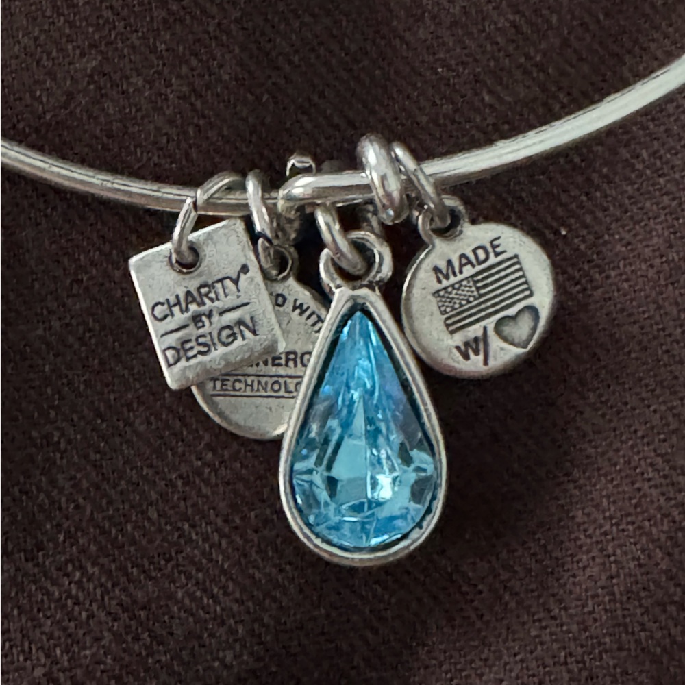Alex and Ani Silver Blue Charm Bracelet